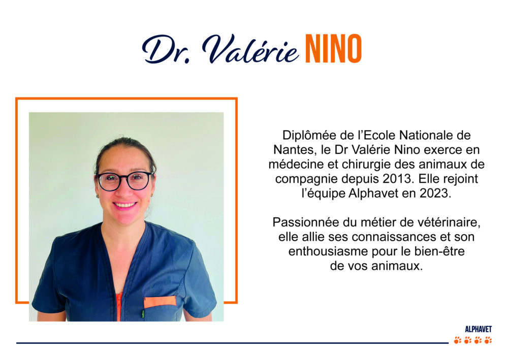 Dr.NINO-fiche-salarié-A5-v2-ALPHAVET-MaéSo-2023